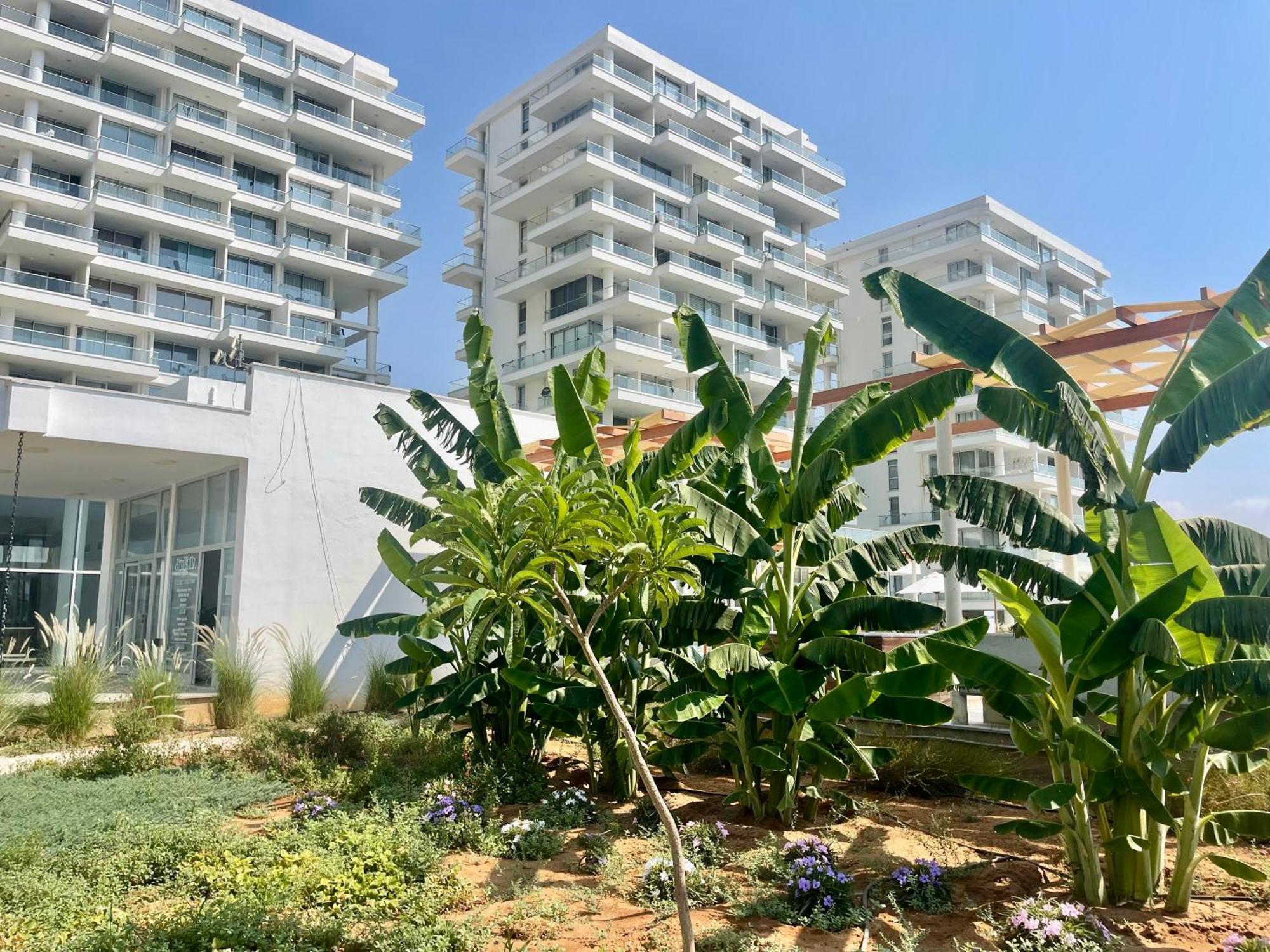 Sea View Suites By The Coast Ammókhostos Eksteriør bilde
